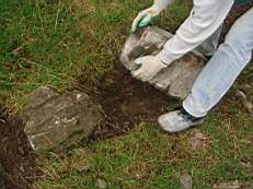 rockfield 1570.jpg